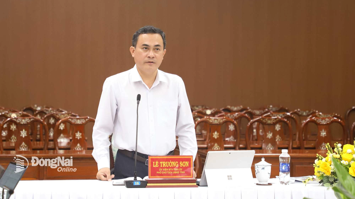 Dong Nai is ready to participate in the National Achievement Exhibition to celebrate the 80th anniversary of National Day September 2
