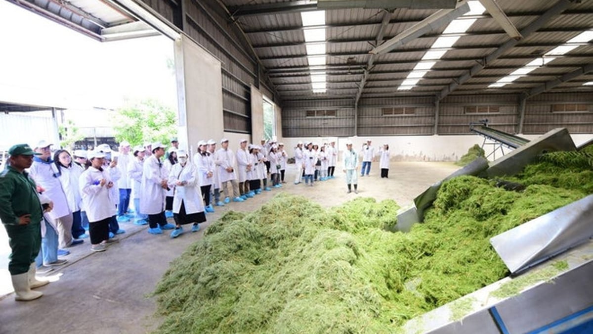 What is special about Vinamilk Green Farm from the perspective of sustainable development?
