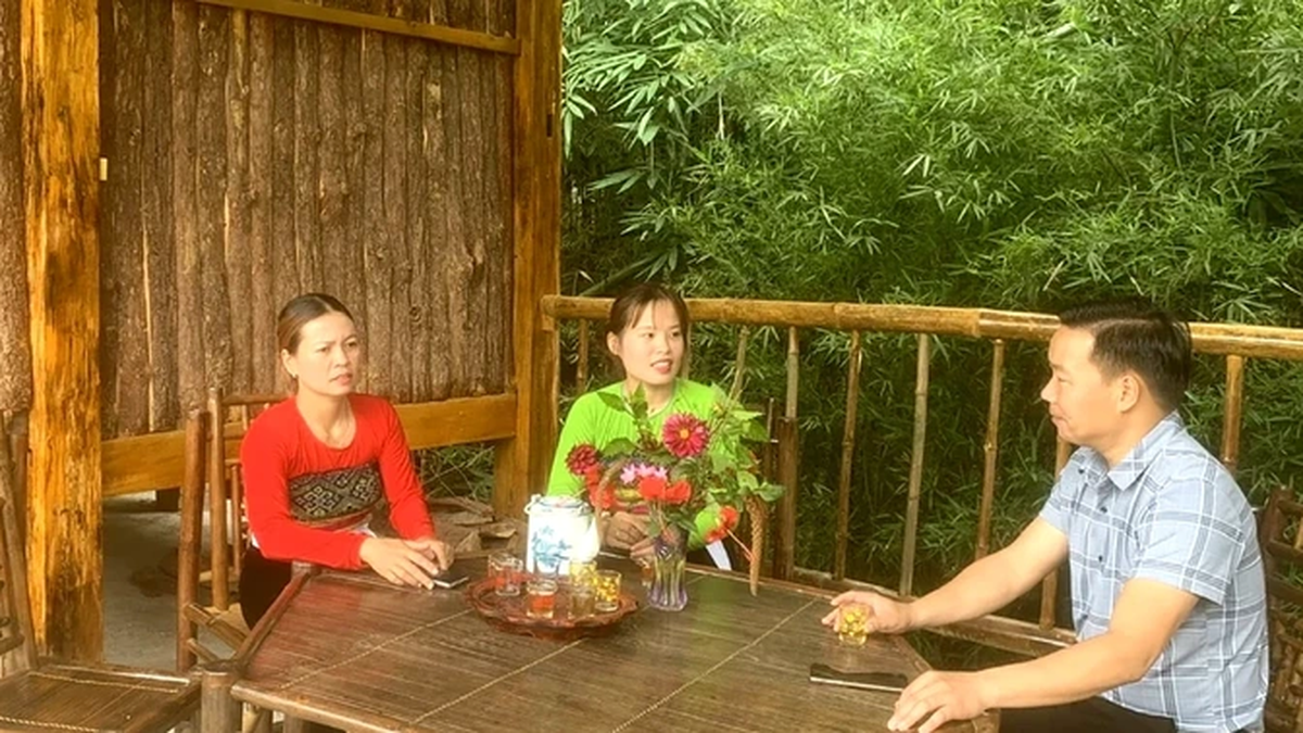 Mai Chau : Changements dans les politiques de soutien aux moyens de subsistance des minorités ethniques