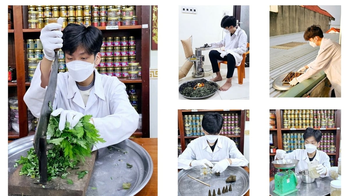 Bourgeons de plantes anti-moustiques d'une étudiante passionnée de médecine traditionnelle