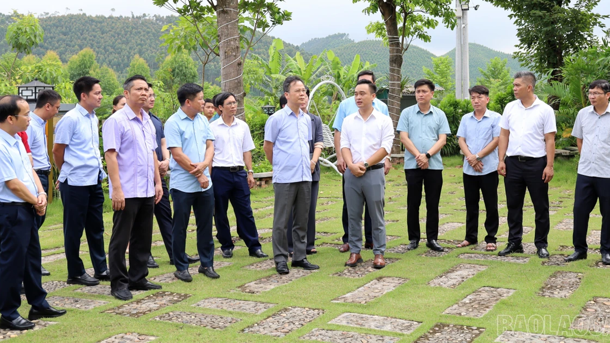 Der stellvertretende Vorsitzende des Volkskomitees der Provinz, Nguyen Thanh Sinh, begutachtete die Tourismusaktivitäten in der Region des Thac Ba-Sees.