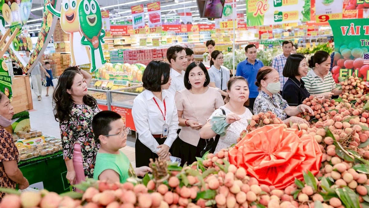 Связывание потребления сельскохозяйственной продукции Хайфона