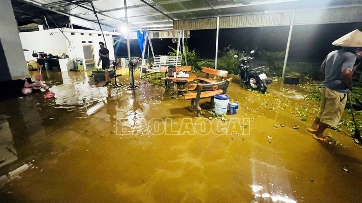 Floods on Ngoi Duong stream affect more than 100 households