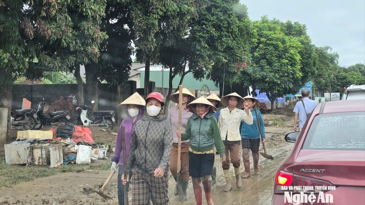 Des milliers de Nghe An se sont portés volontaires pour se rendre dans la zone inondée afin d'aider les gens à nettoyer leurs maisons, à pelleter la boue et à réparer les routes.