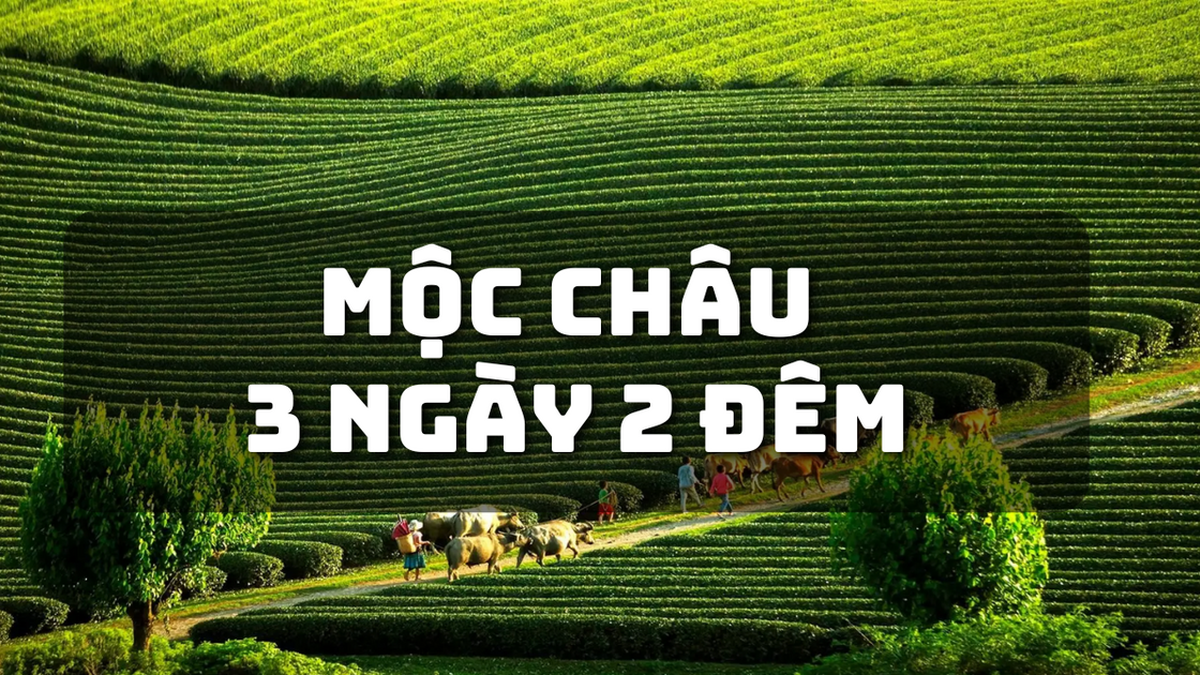 Recorrido por Moc Chau Mai Chau: Experimente la perla del noroeste, la colina del té del corazón