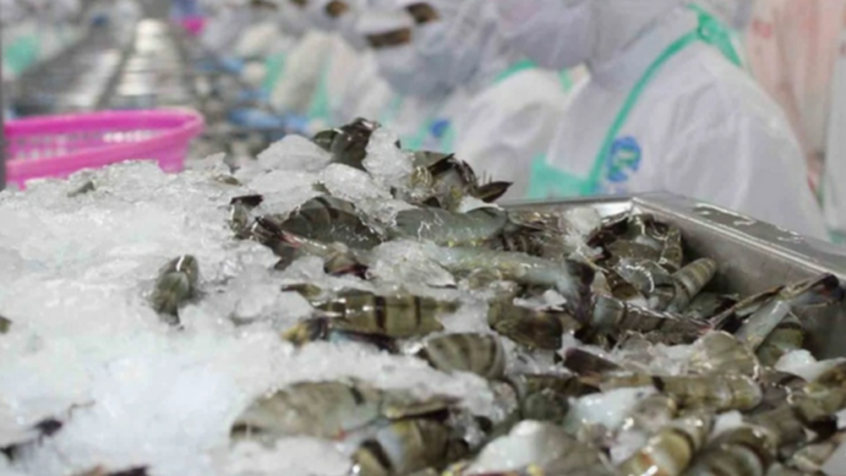 Fisheries industry aims for 10 billion USD in 2025