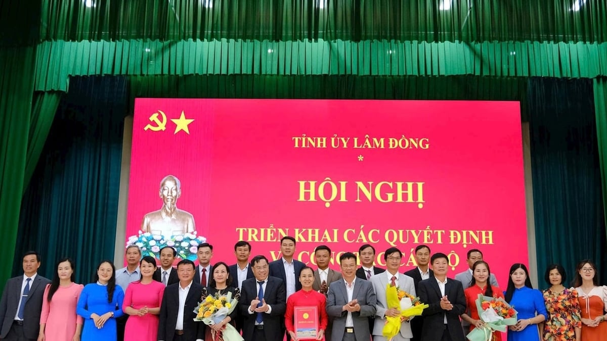Arrange and innovate for Tan Ha Lam Ha to move forward steadily