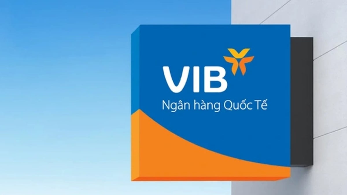 VIB: 6-month profit over 5,000 billion VND, total assets over half a million billion VND