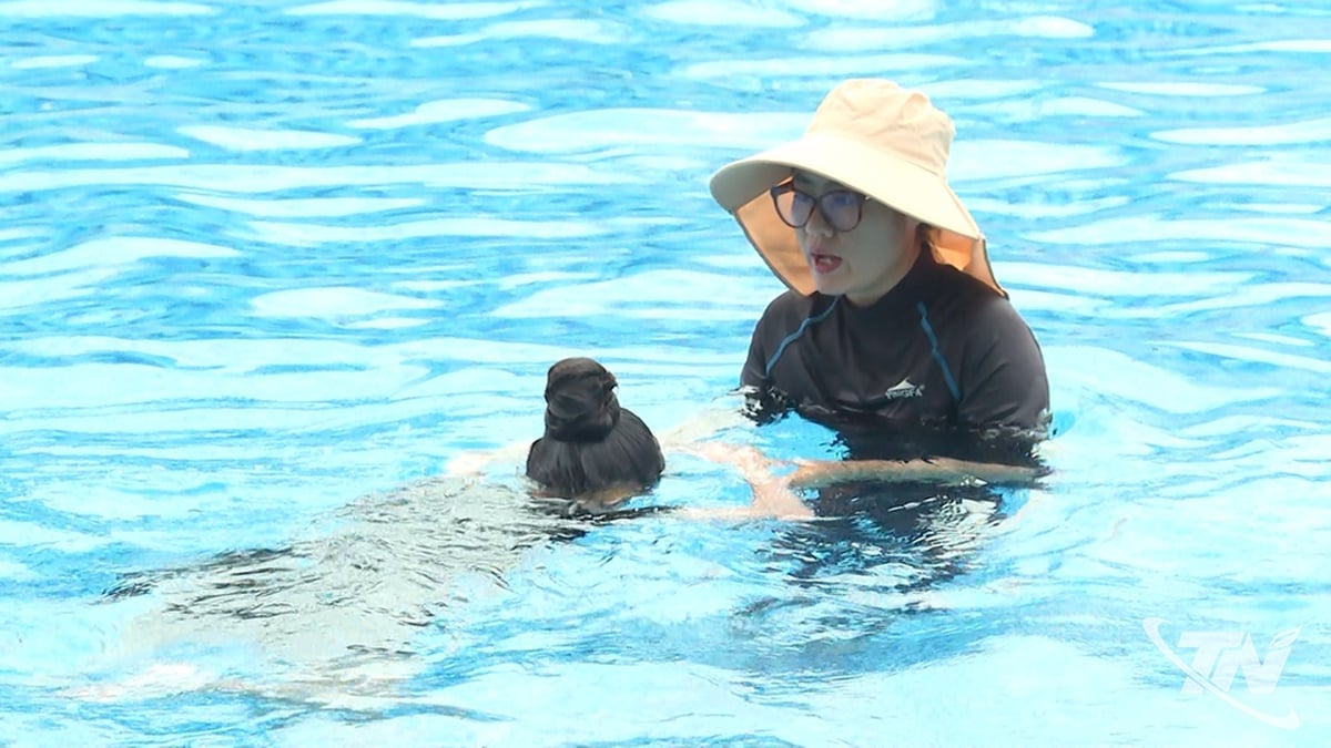 子供とティーンエイジャー向けの多様な夏のアクティビティ