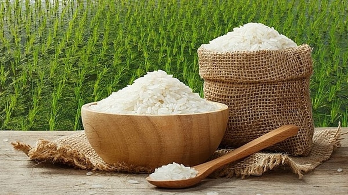 Rice price today July 28: Stable market, quiet transactions