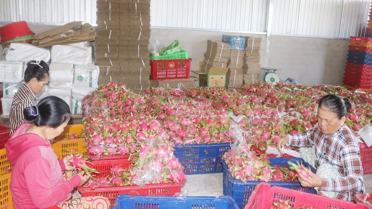 Promoting internal strength, building Ham Liem for comprehensive and sustainable development