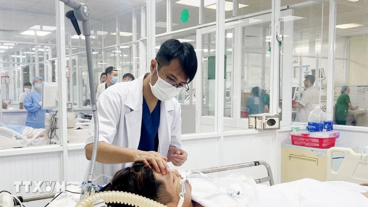 مدينة هوشي منه: تحذير من زيادة حادة في حالات حمى الضنك