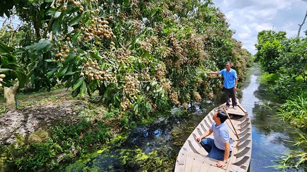 ស្វែងរកមតិយោបល់លើគម្រោងផលិតកម្មដំណាំកាត់បន្ថយការបំភាយឧស្ម័ន