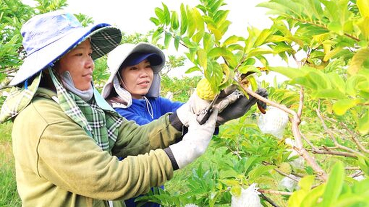 L'agriculture biologique valorise les produits agricoles