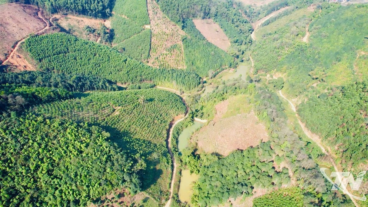 L'ouverture de la route forestière, une voie de développement décisive