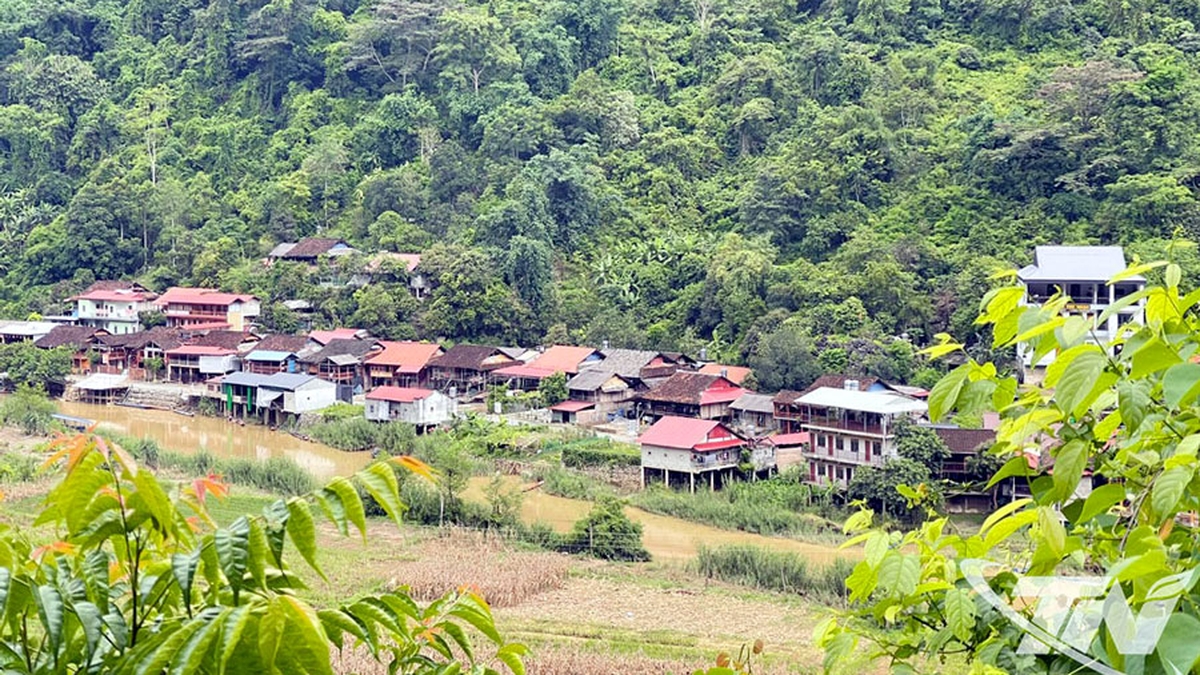 Pac Ngoi - ការឈប់សម្រាកដ៏ល្អ