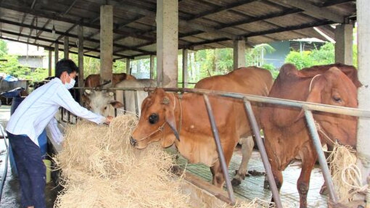 Reciclaje de subproductos: allanando el camino hacia la agricultura circular