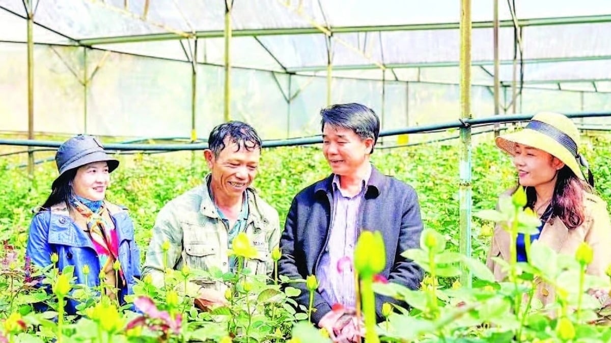 កន្លែងដែលមានសក្តានុពលនៅជើងភ្នំ Lang Biang