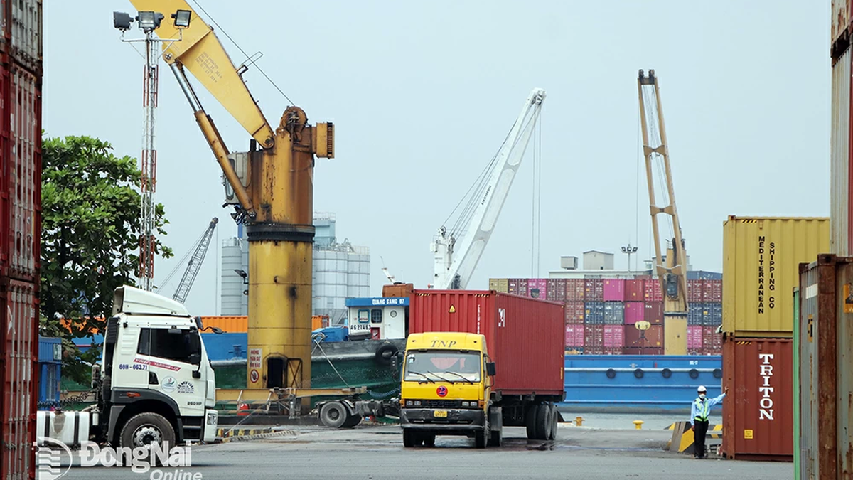New procedures in the field of import and export