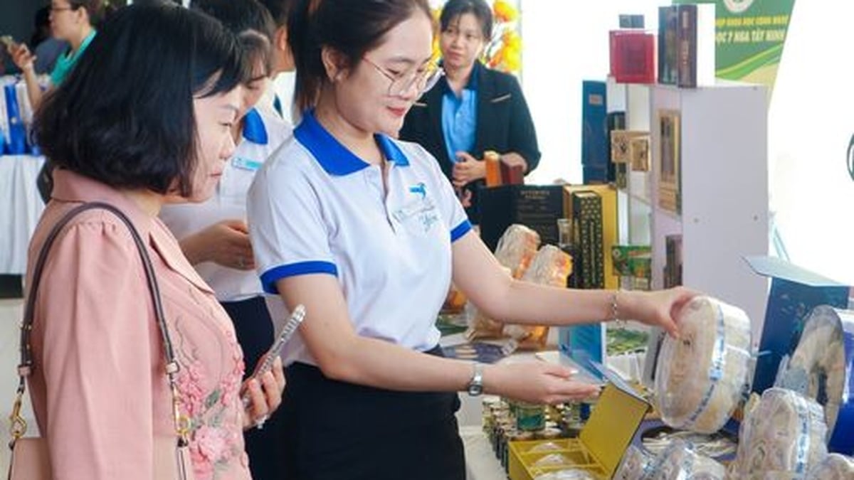 Resolution No. 68 breathes new life into the private economy