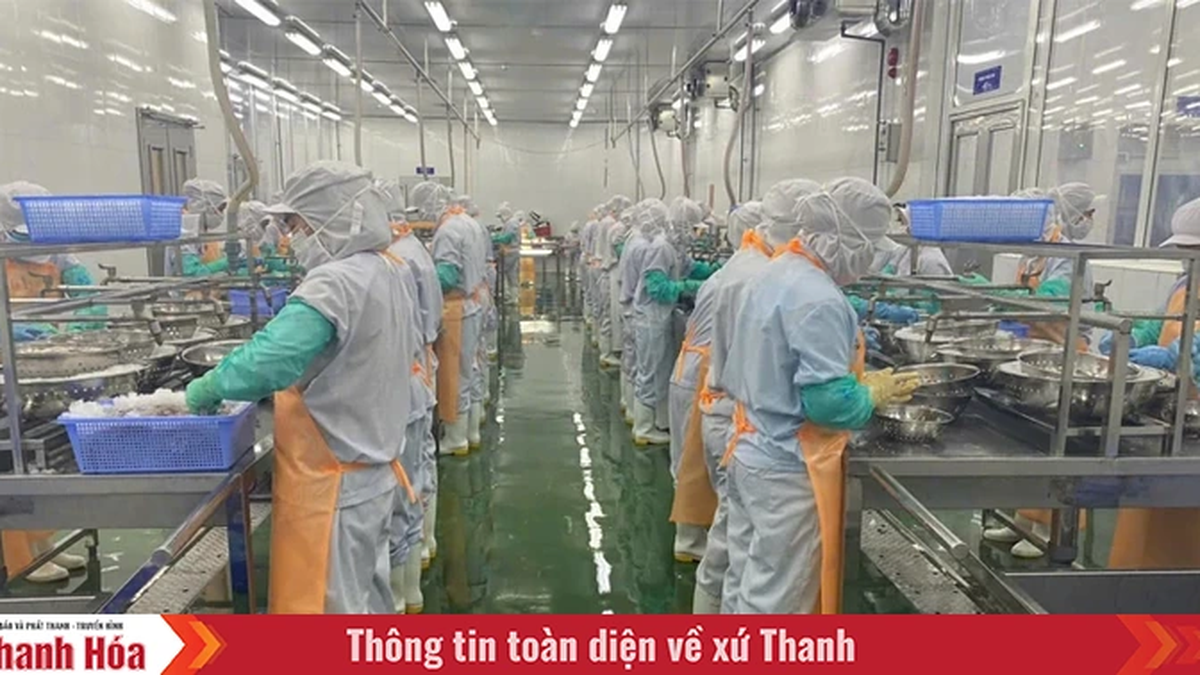 Enhancing the value of Sam Son seafood