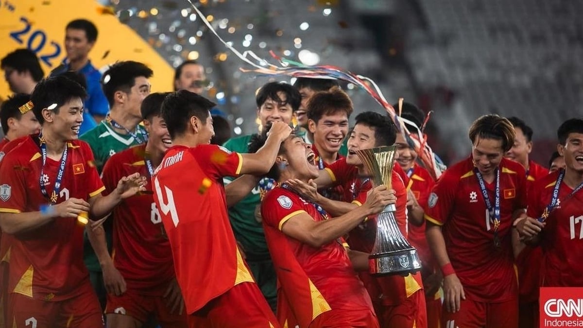 Un expert indonésien admet que l'équipe locale a manqué de sagesse face aux U23 du Vietnam