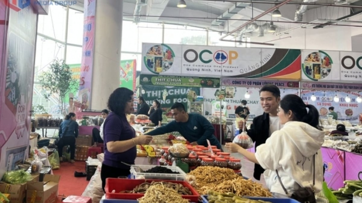 تخطط كوانغ نينه لتنظيم معرض OCOP المرتبط بمعرض الإنجازات الاجتماعية والاقتصادية لمدة 5 سنوات (2020-2025)