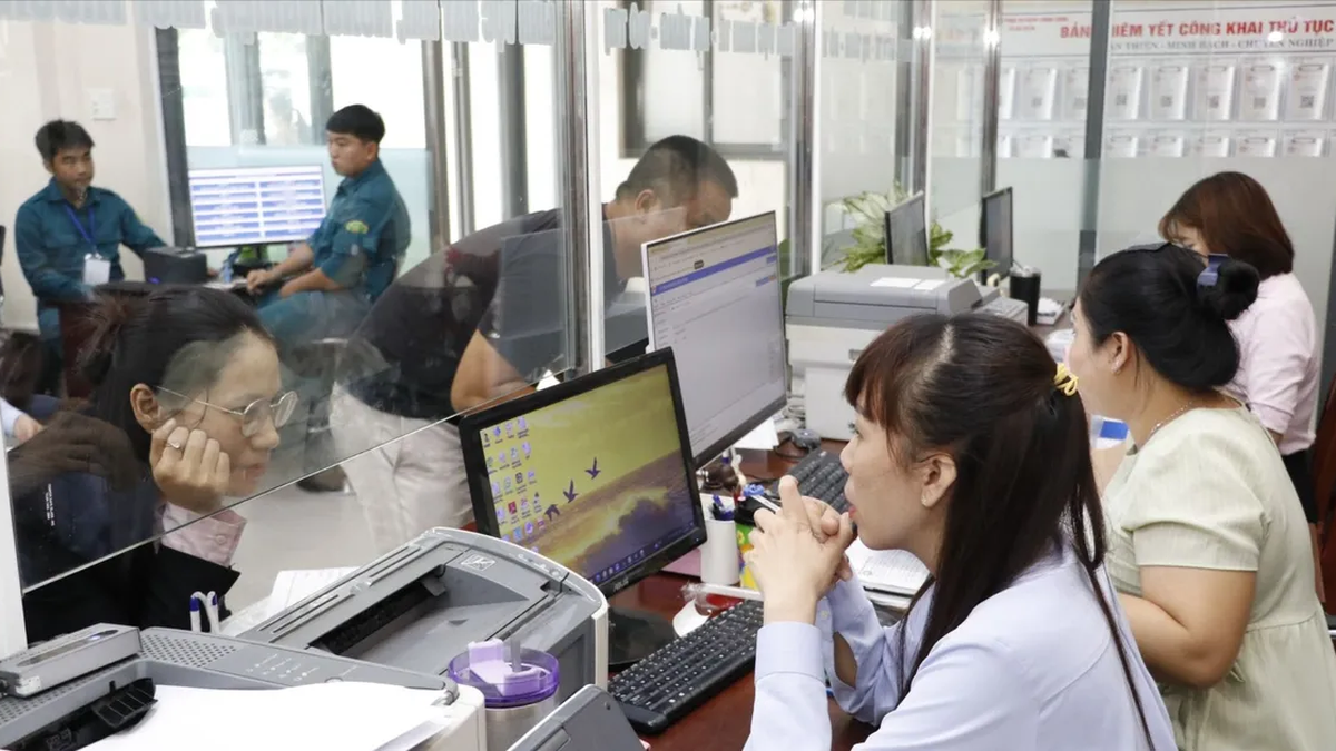 Ho-Chi-Minh-Stadt untersucht und bewertet umfassend die Funktionsweise der zweistufigen lokalen Regierung