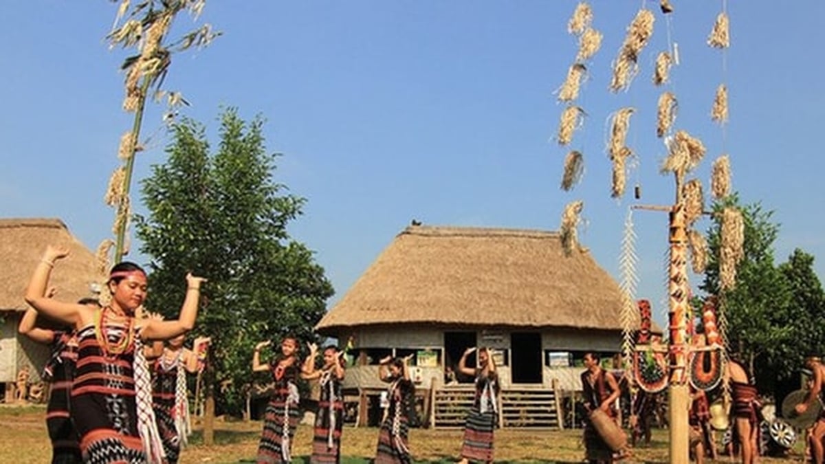 ខែសីហា ទស្សនាភូមិវប្បធម៌ ដើម្បីទទួលយកបទពិសោធន៍វប្បធម៌ប្រពៃណី
