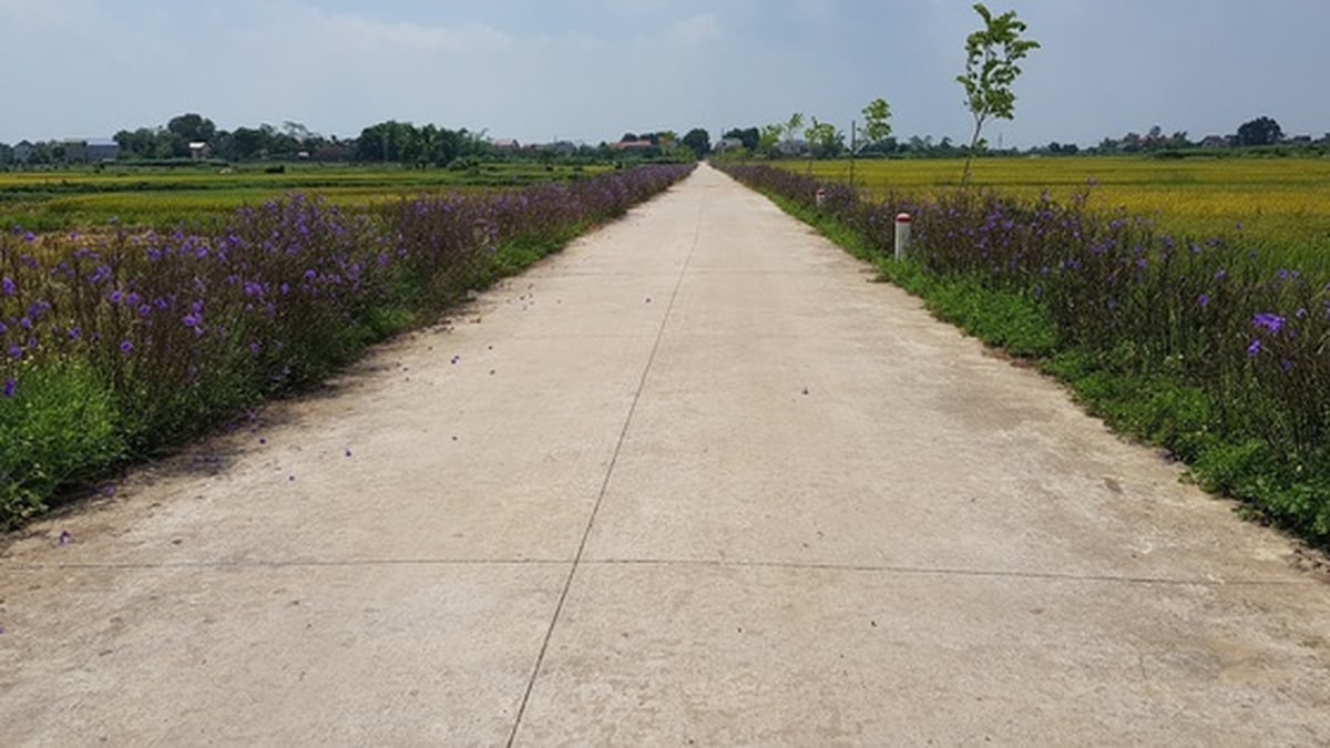 Hanoi est à la tête du pays dans la construction de nouvelles zones rurales