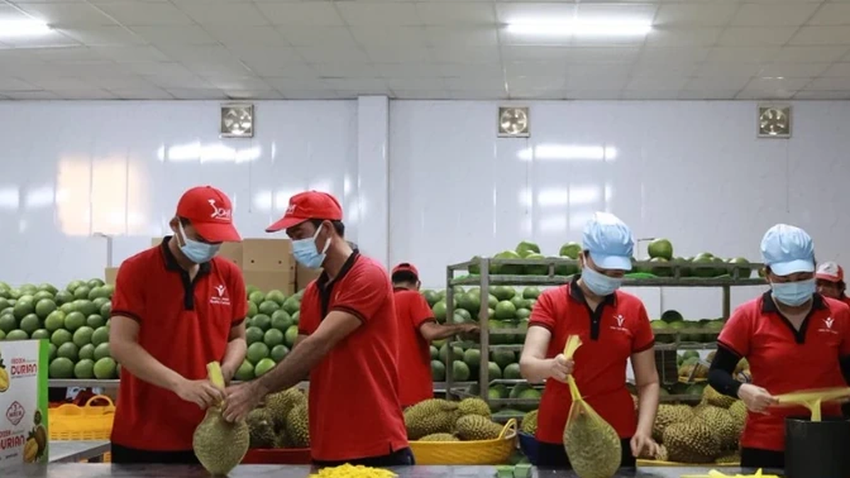 Exportaciones agrícolas aspiran a meta de 70 mil millones de dólares