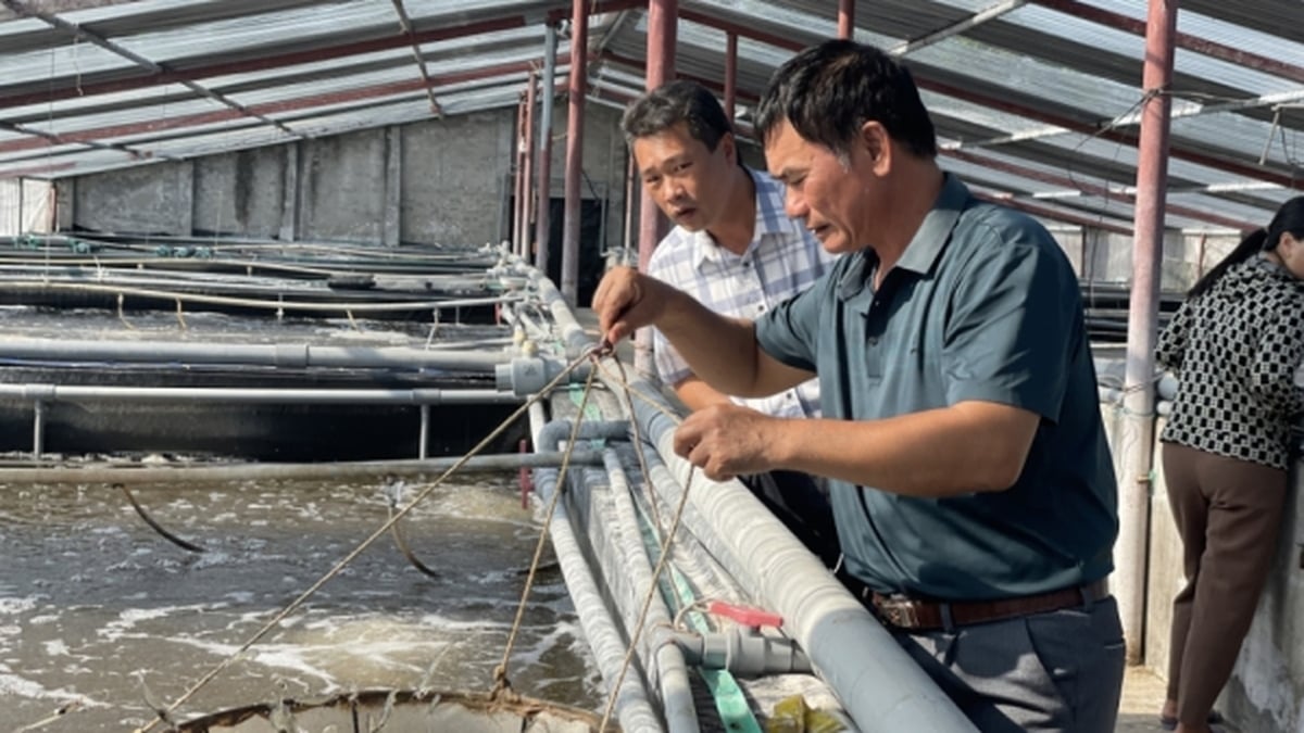 Los agricultores se levantan para enriquecerse