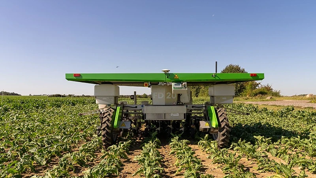 Los robots alimentados con energía solar sustituyen a los agricultores en el desmalezado