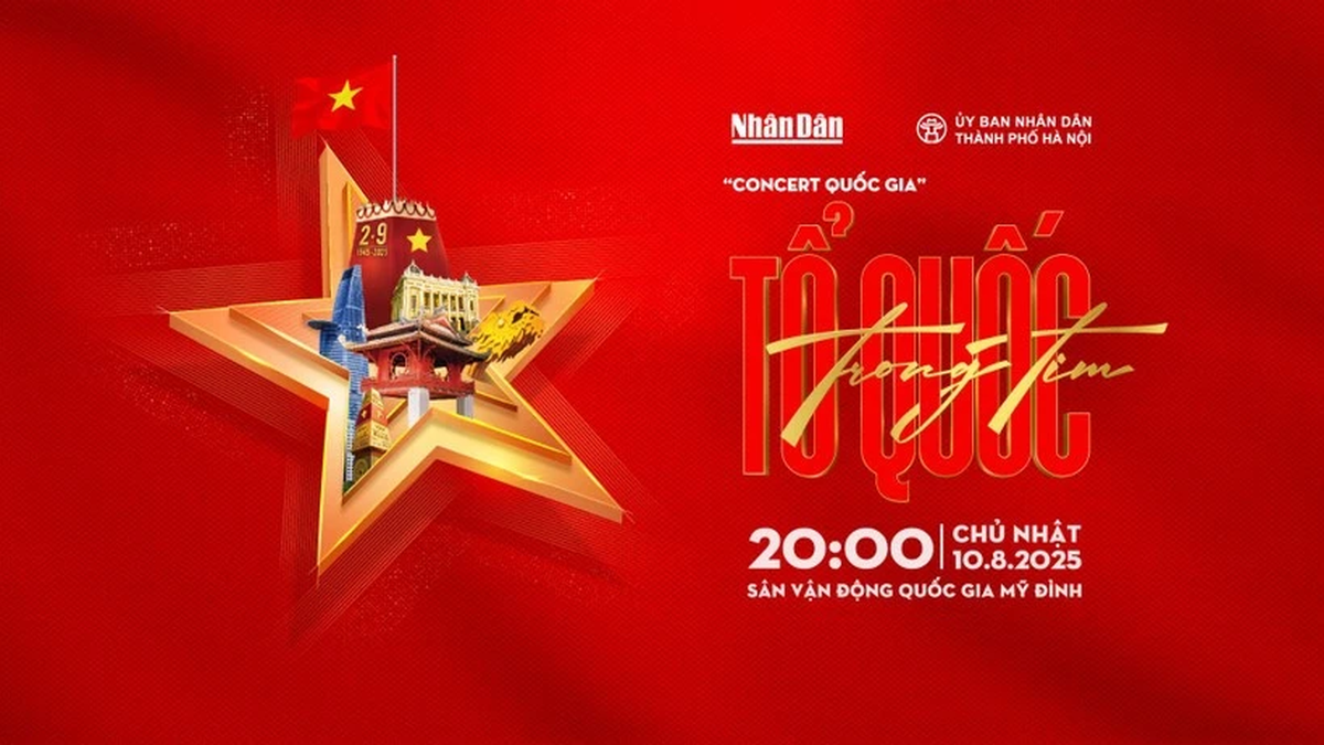 Will handle cases of selling fake tickets, profiting from the program "Fatherland in the heart"