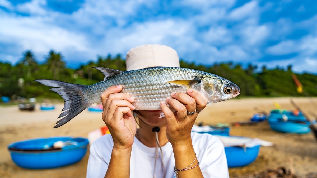 Sống như dân biển Sa Huỳnh ở ngôi làng Gò Cỏ