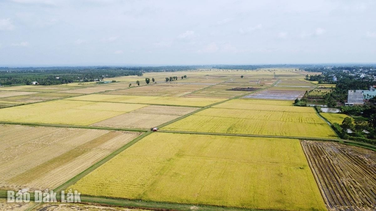 Ea Kly construye con firmeza nuevas áreas rurales avanzadas