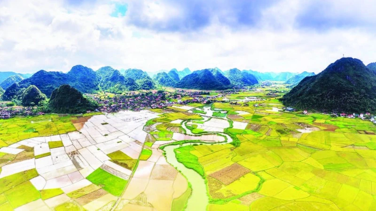រដូវមាសរបស់បាកសឺន