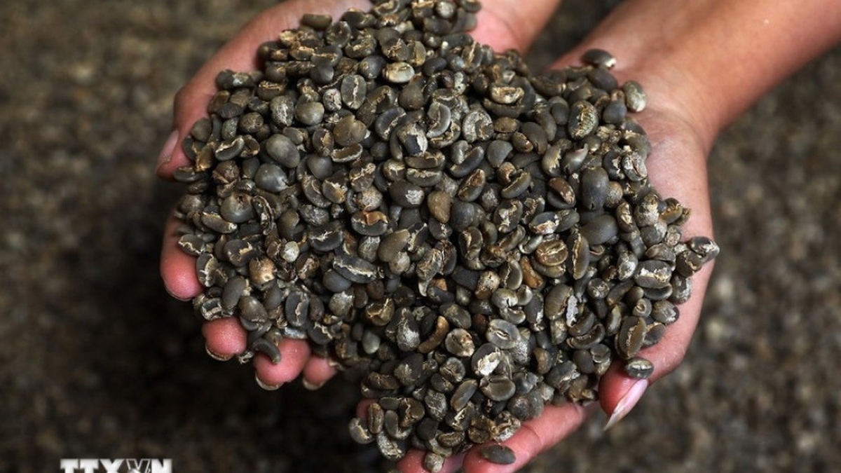 Le marché du café connaît une forte hausse, entraînant le marché des matières premières