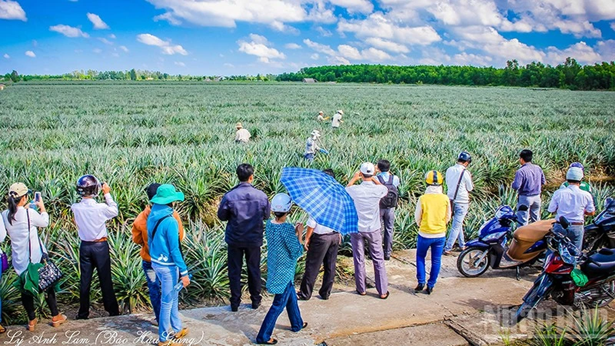 Aprovechar el potencial del ecoturismo