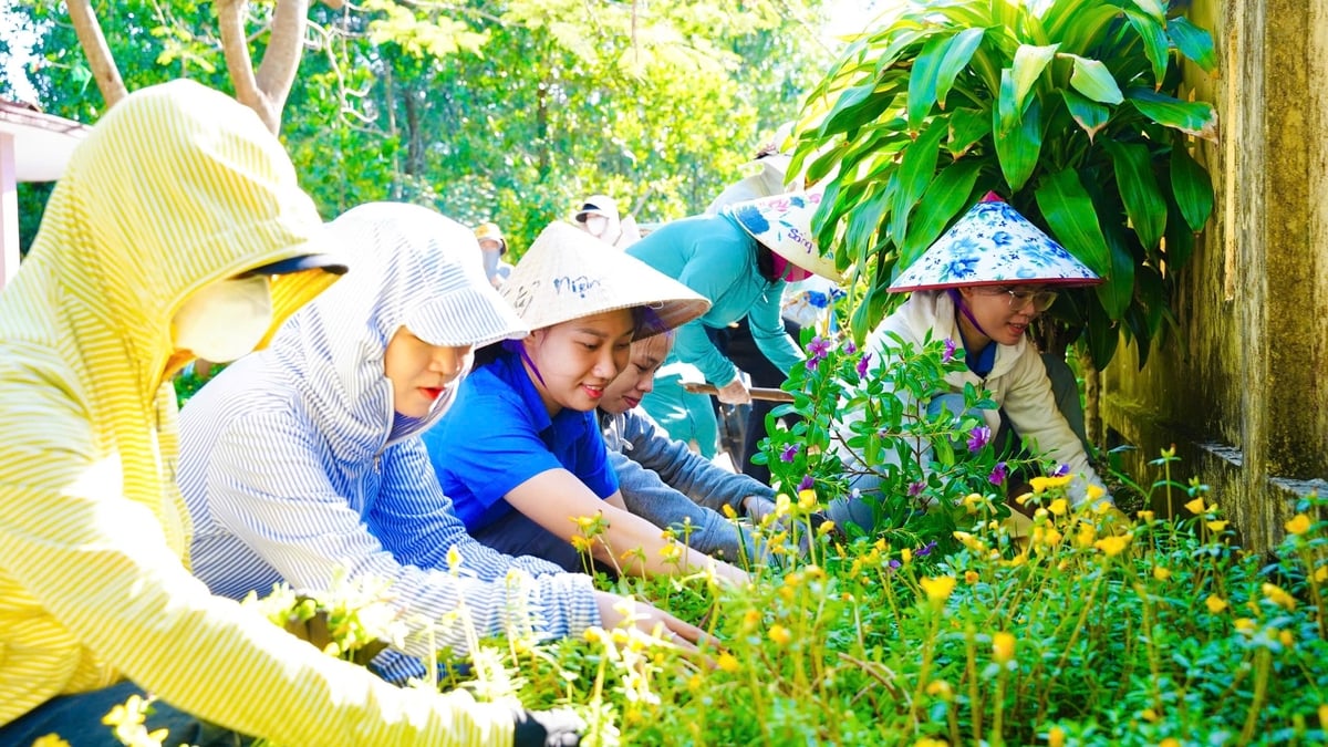 Thanh Thuy startete die Sommer-Jugendfreiwilligenkampagne