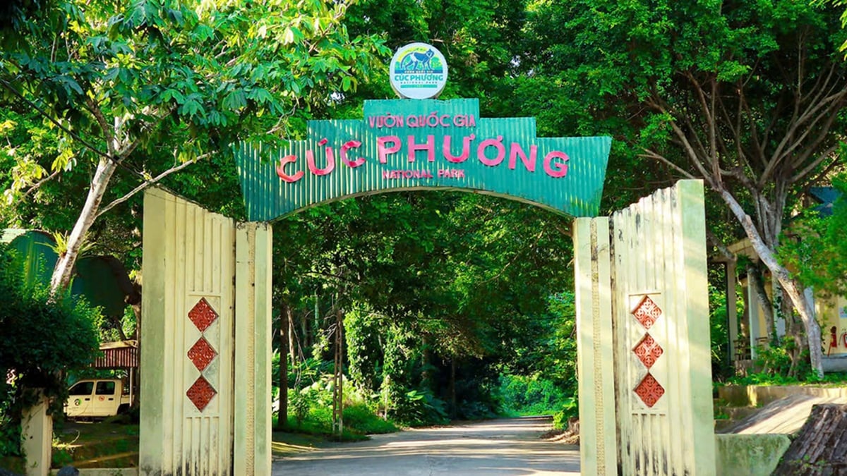 Hunderte Menschen suchen aktiv nach einem im Cuc Phuong Nationalpark vermissten männlichen Touristen