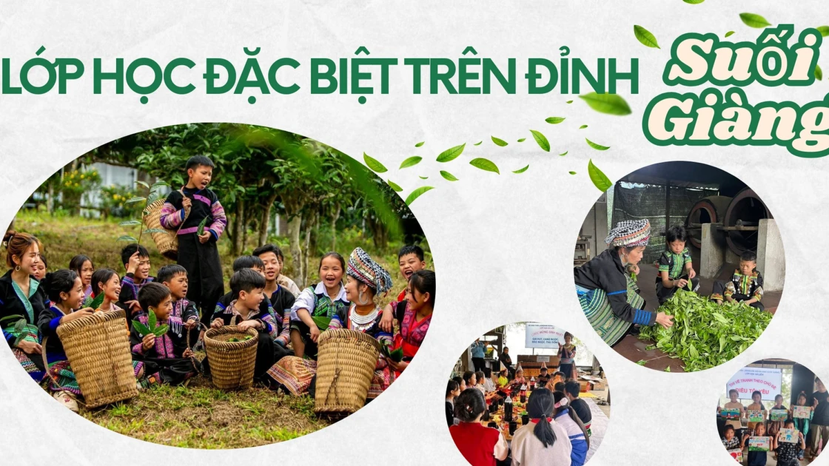 فئة خاصة على قمة Suoi Giang