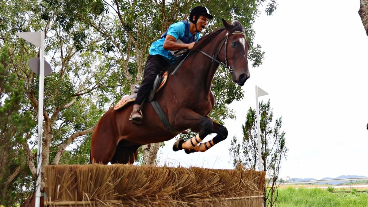 لام دونج يستضيف أول بطولة لسباقات الخيل للهواة عبر التضاريس