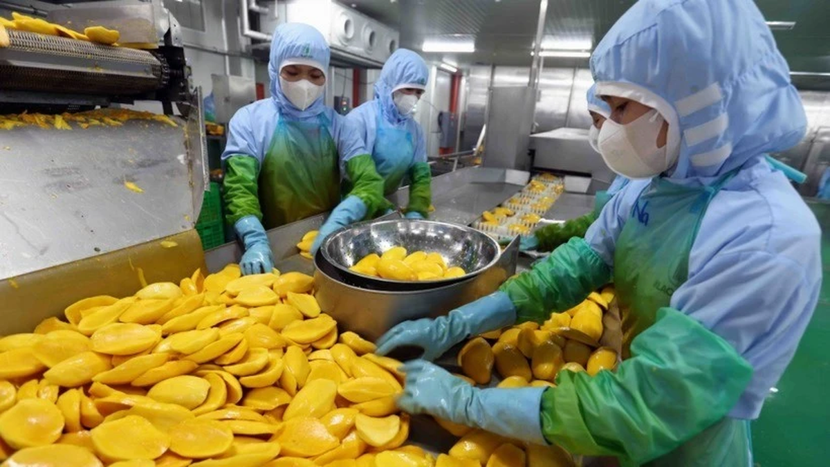ベトナムの印象：飢餓の国から農業大国へ