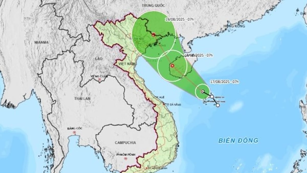 ダナン市、熱帯低気圧の発達に積極的に対応するよう電報を発令