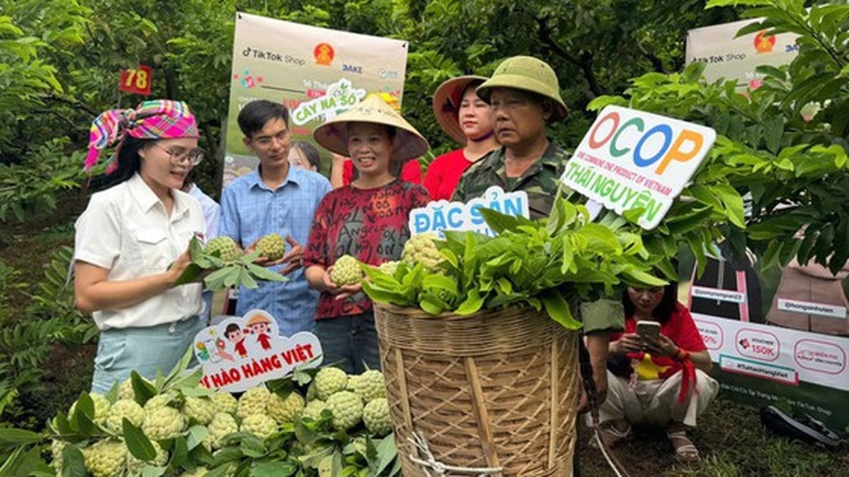 Thai Nguyen: Fast 1.500 Bestellungen im Online-Verkauf landwirtschaftlicher Produkte abgeschlossen