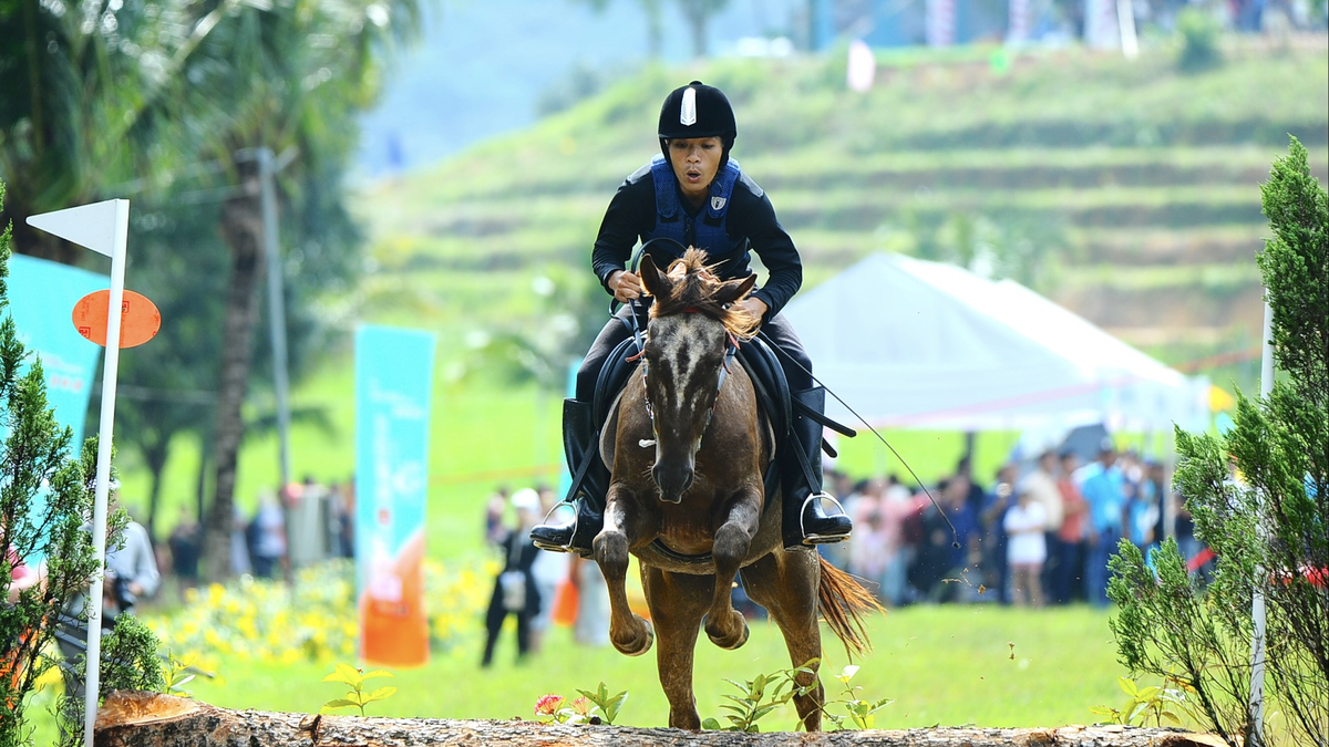 Eye-catching cross-terrain horse racing in Lam Dong