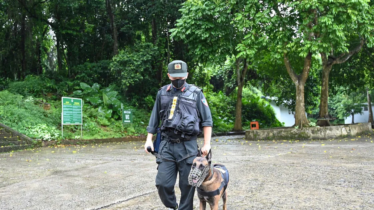 クックフォンの森で行方不明の観光客を捜索するため、車両と探知犬を動員