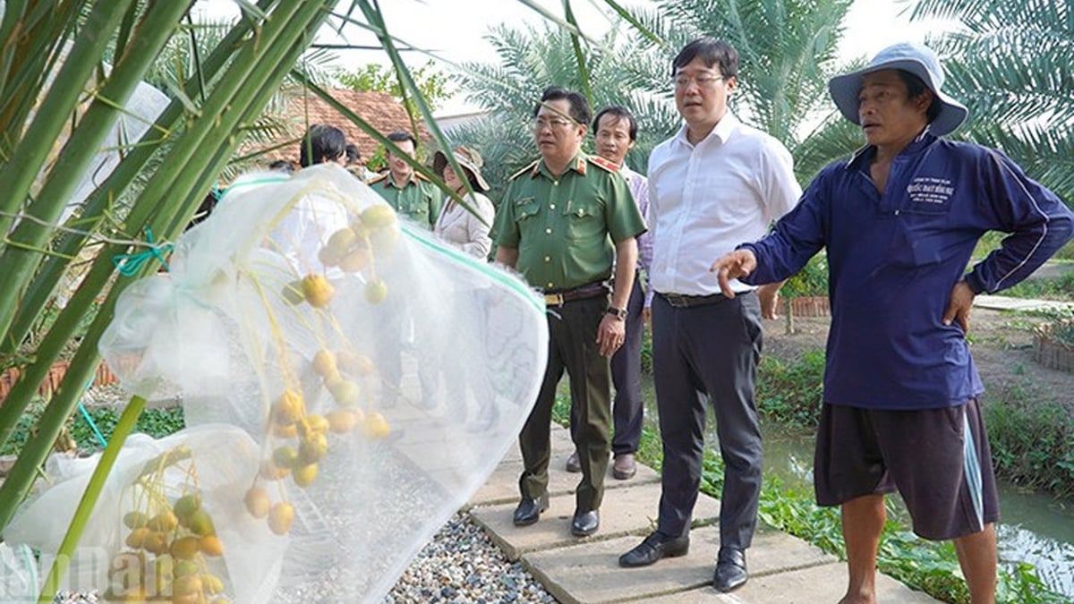 Dong Thap: Exploiting advantages to develop border areas