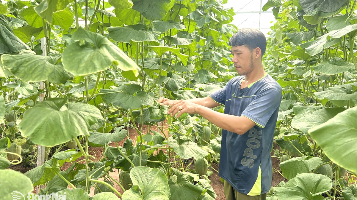 멜론 3사오 이상 창업 성공